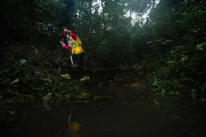 BIB: 
                            <button type="button" onclick="openModal(22485157)" class="btn btn-primary btn-sm float-right btn-popup" data-toggle="modal" data-target=".modal-high-quality">
                        <i class="fas fa-shopping-cart"></i> Add to Cart
                    </button>
                                            <button type="button" onclick="isThisMe(22485157, true)" class="btn btn-success btn-sm float-right btn-popup btn-isme hidden" data-toggle="tooltip" data-placement="bottom" title="นี่คือรูปของคุณใช่ไหม คลิกที่นี่เพื่อเอาเข้าอัลบั้ม">
                        <i class="fas fa-plus"></i> Add to album
                    </button>
                    <button type="button" onclick="isThisMe(22485157, false)" class="btn btn-warning btn-sm float-right btn-popup btn-isnotme hidden">
                        <i class="fas fa-ban"></i> Remove from album
                    </button>